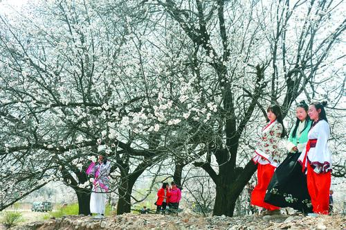 CCTV5足球直播 高清赛事画面